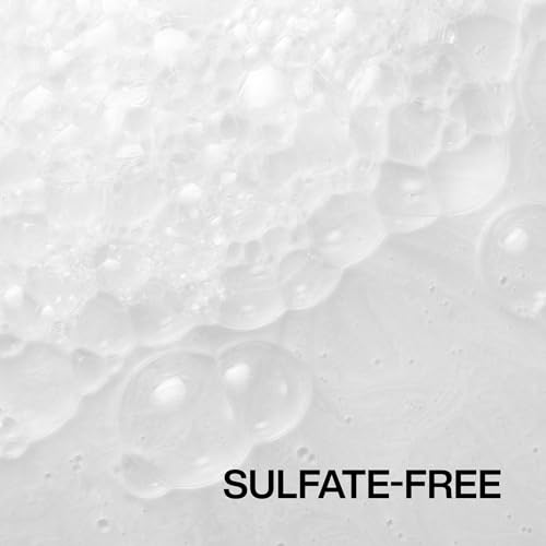 Redken Frizz Dismiss Shampoo | Sulfate Free Shampoo For Frizzy Hair | Gently Cleanses, Smooths, and Adds Shine | Weightless Long-Lasting Frizz Control | Humidity Protection | Anti Frizz