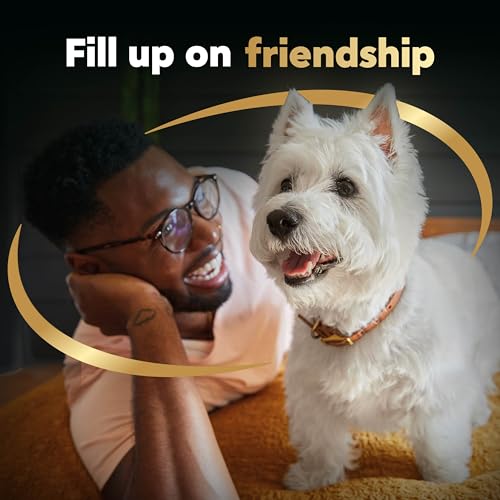 Cesar Small Breed Dry Dog Food for Small Dogs, Filet Mignon Flavor and Spring Vegetables Garnish, 12 lb Bag