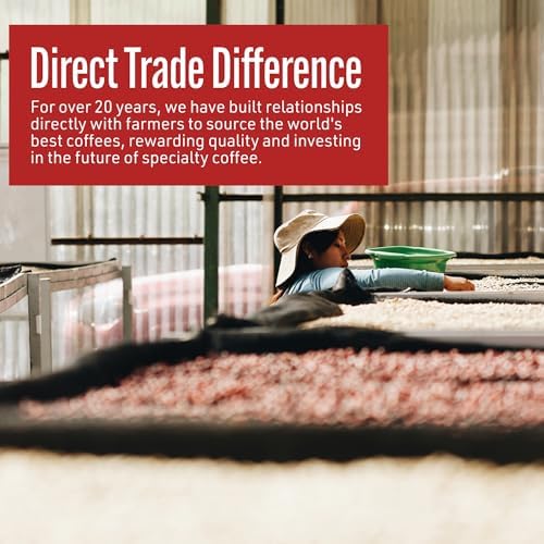 Intelligentsia Coffee, Light Roast Whole Bean Coffee - Black Cat Classic Espresso 12 Ounce Bag