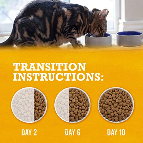 Purina Beyond Grain Free White Meat Chicken and Egg Recipe Natural Cat Food High Protein Cat Food Dry Formula - 5 lb. Bag