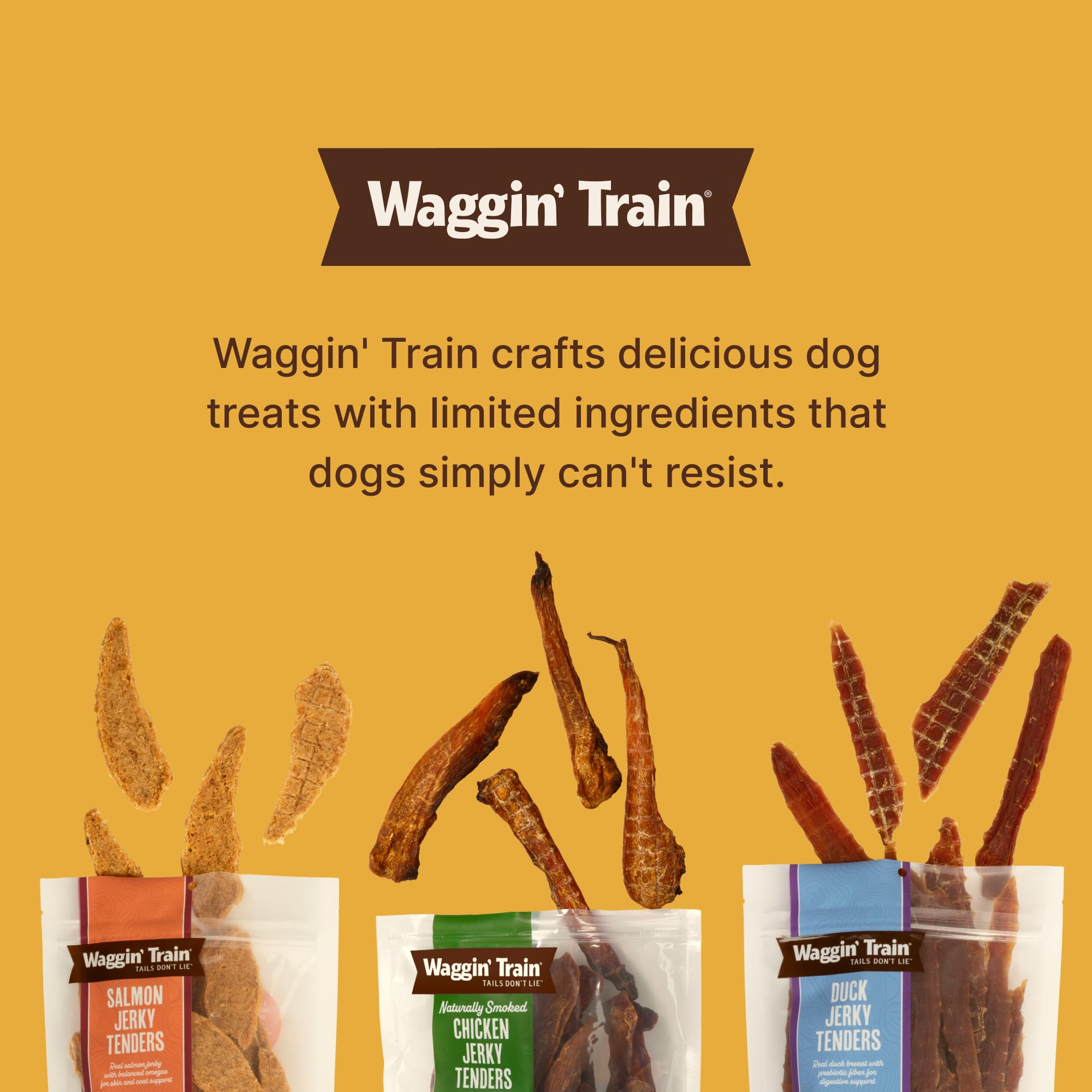 Waggin' Train Chicken Jerky for Dogs - Limited Ingredient Dog Treats for Dogs 30 oz. Pouch
