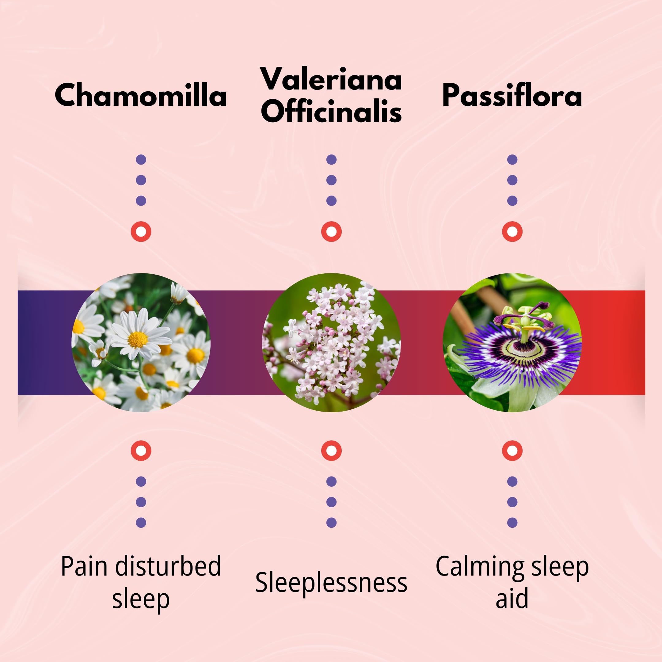 The Relief Products Ring Relief Ear Drops PM - 100% Natural Active Ingedients - for Ringing Ears and Tinnitus Symptoms - Nighttime Formula - 0.33 fl oz