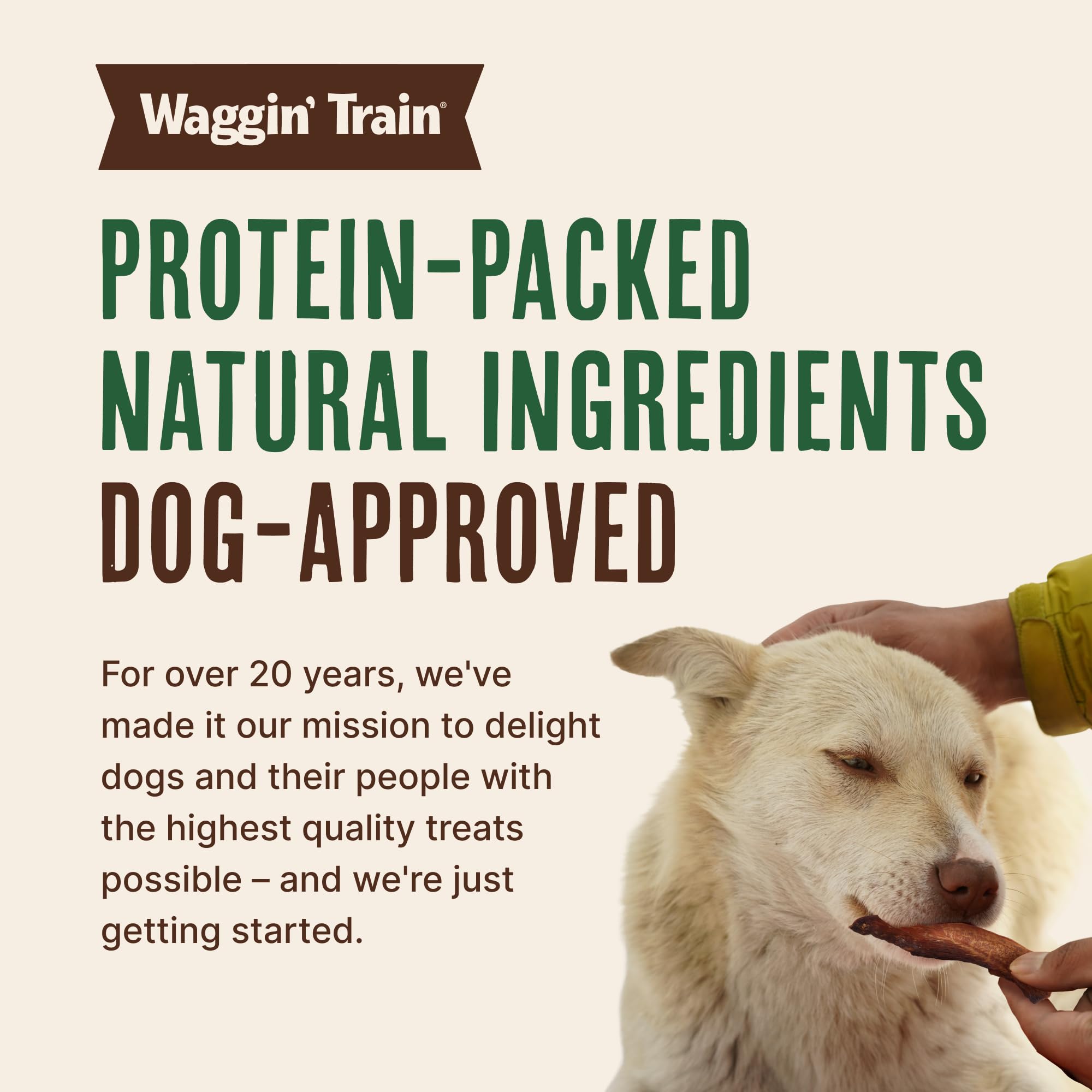 Waggin' Train Chicken Jerky for Dogs - Limited Ingredient Dog Treats for Dogs 30 oz. Pouch