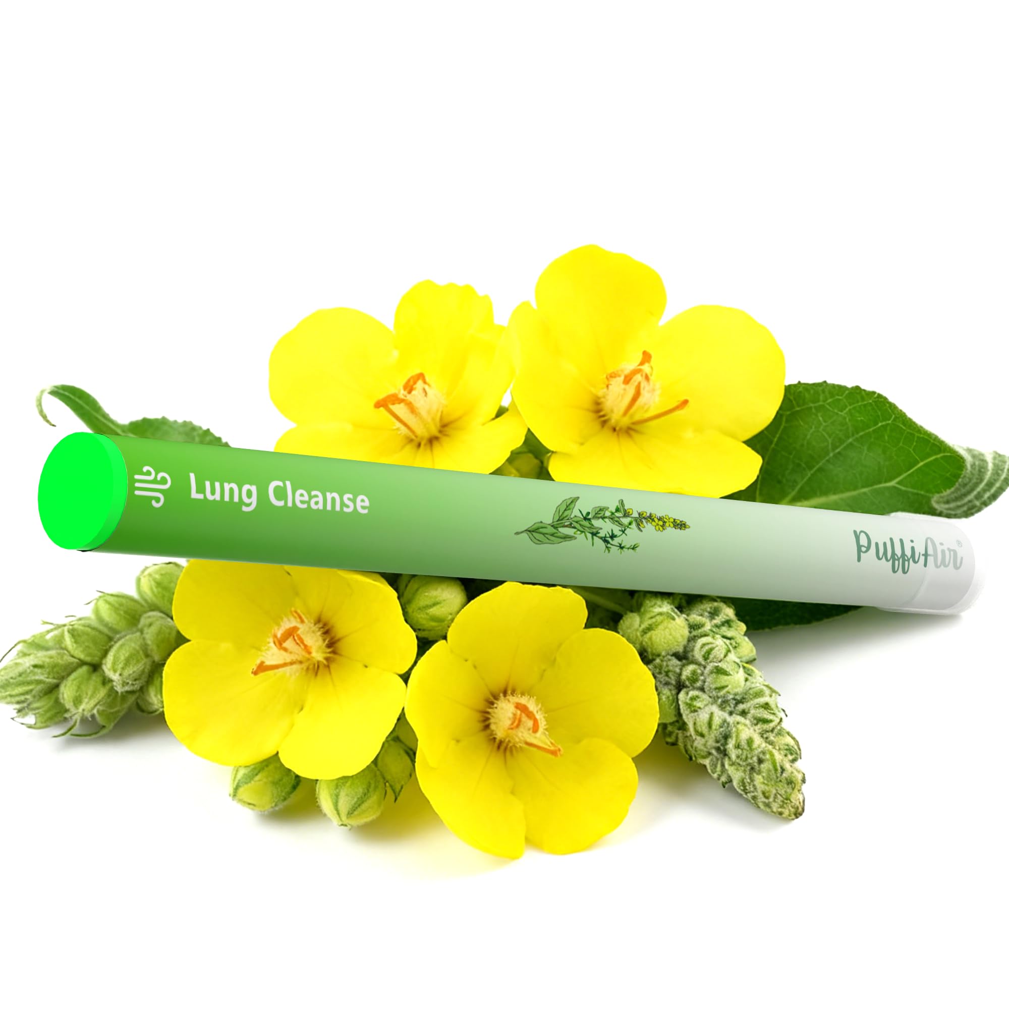 Upgraded Mullein Herbal Diffuser Stick with Mullein, Thyme & Mint Extracts | Lung Detox Diffuser for Cleansing Lungs, Improving Breathing & Oral Air Freshening - 600 Uses, 3 Sticks, 1 Pack