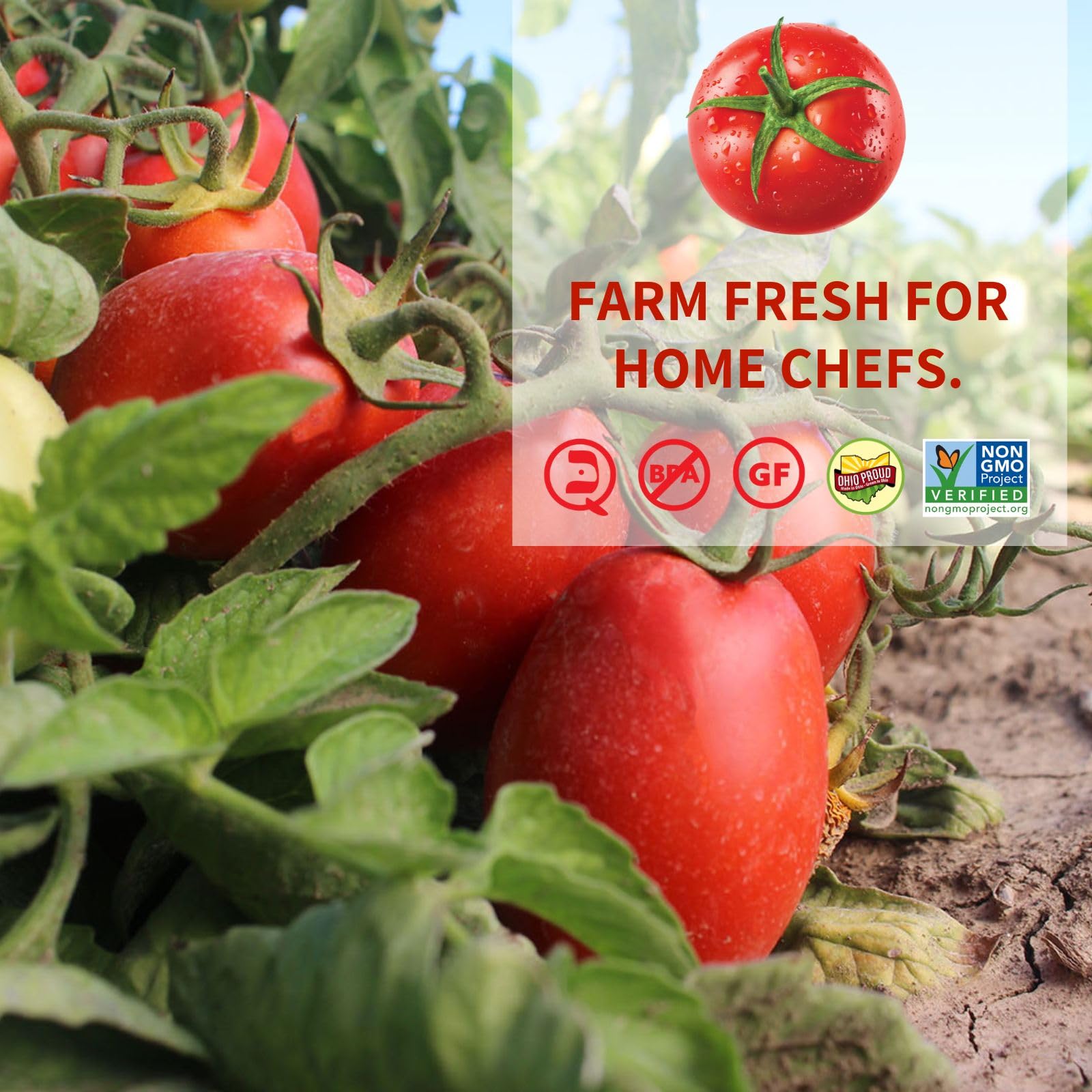 Dei Fratelli Sloppy Joe Sauce (15oz - 6 pack) - Vine-Ripened Tomatoes - No Water, No Corn Syrup, Non GMO, Gluten-Free