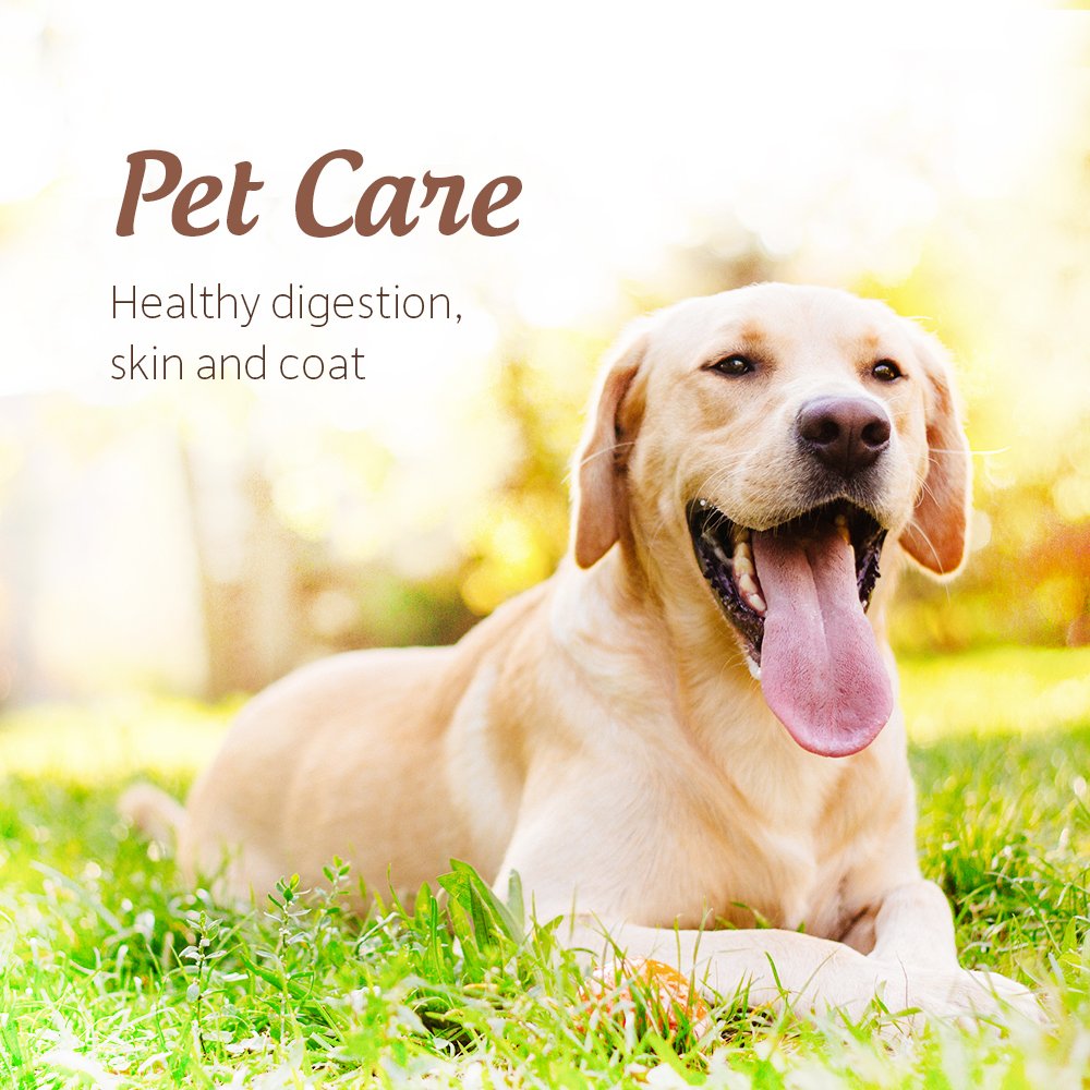 Garden of Life Raw Extra Virgin Coconut Oil, 14 fl oz (414 ml)