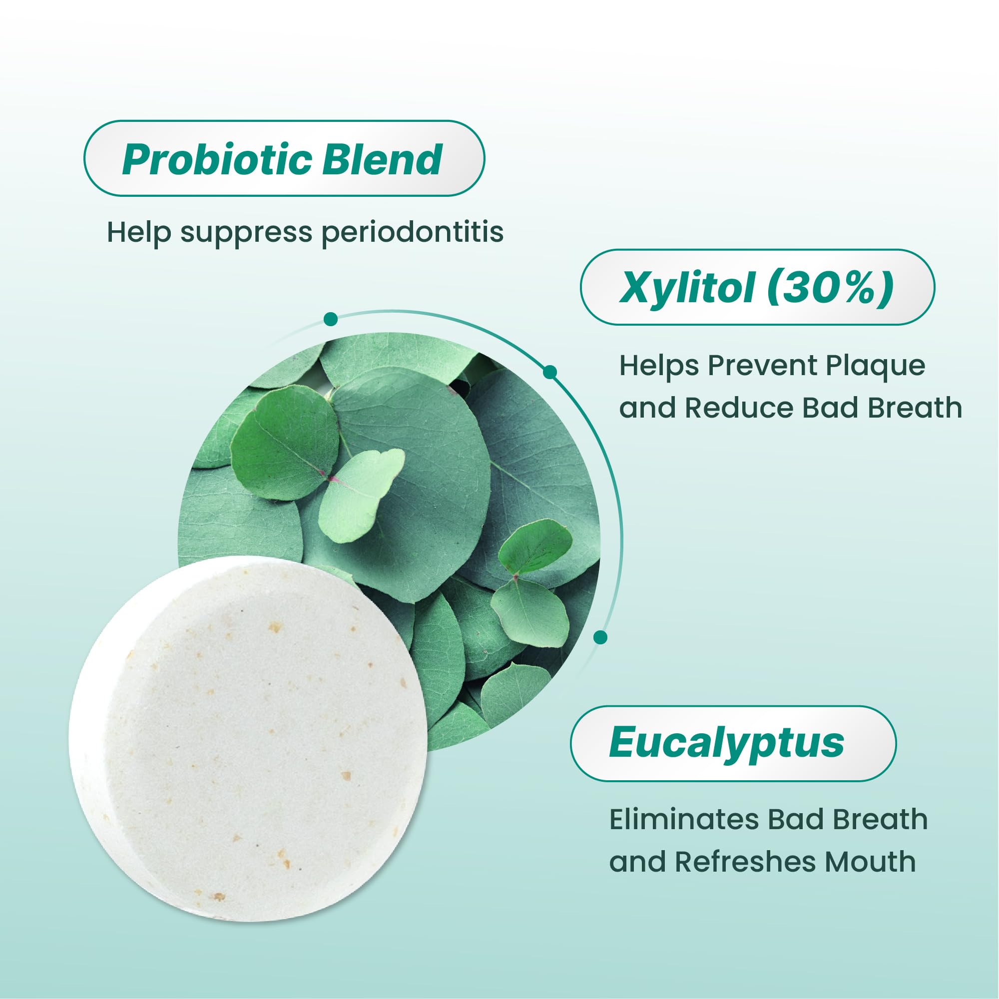 K-Nutra Dentifresh Mint Xylitol Tabs – Oral Probiotics for Bad Breath, Dry Mouth & Fresh Breath, 7 Billion CFU, Sugar-Free, GMO-Free, Gluten-Free, Natural Mint Flavor, 30 Tablets (Improved Formula)