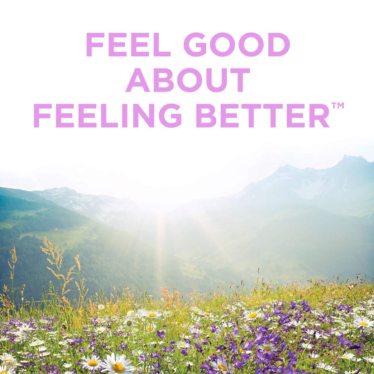 Similasan Ear Ringing Remedy Ear Drops 0.33 Ounce Bottle