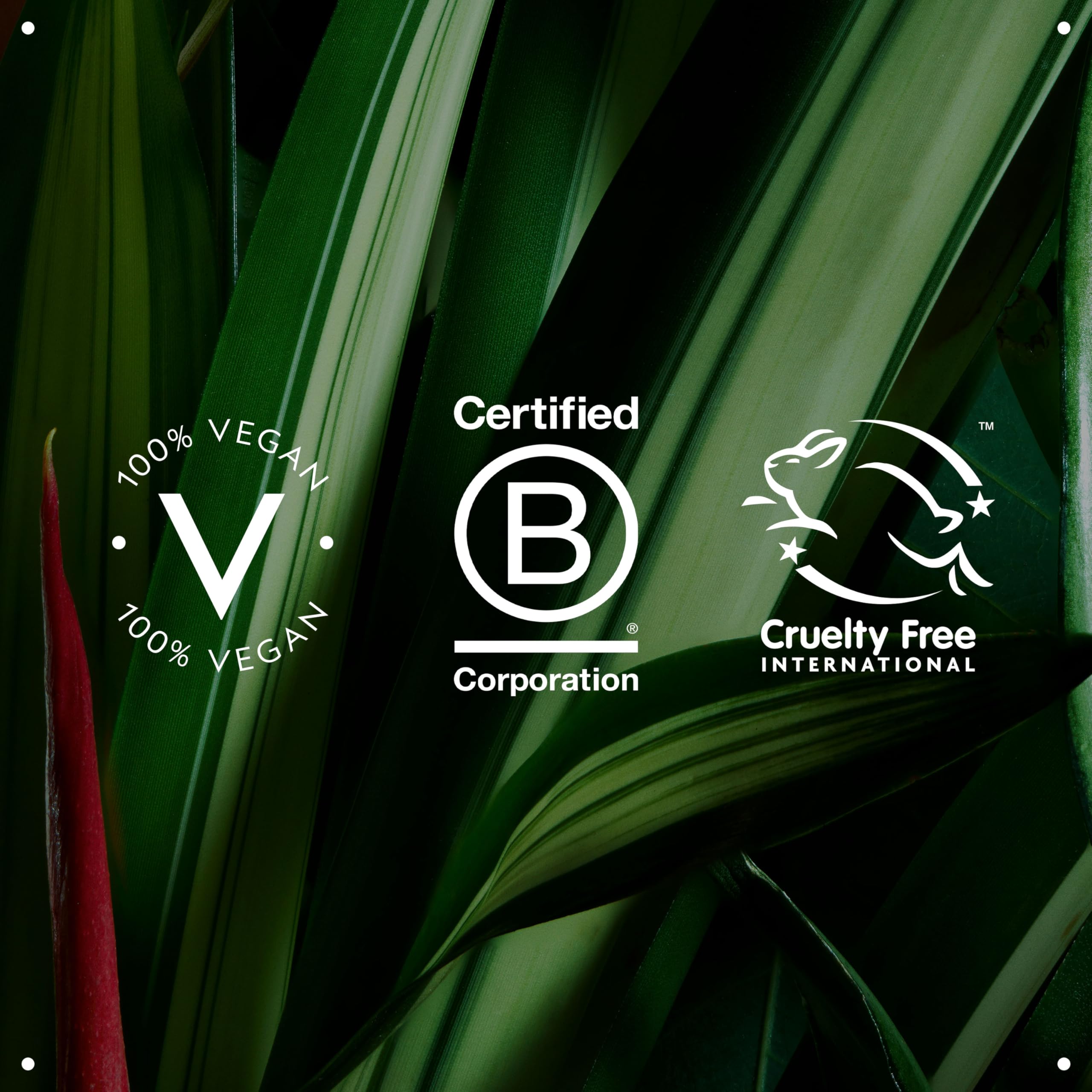 Aveda Be Curly Advanced Curl Enhancer Hair Cream | Defines Curly and Wavy Hair | Reduces Frizz, Adds Shine | Silicone Free | 98% Naturally Derived*, 6.7 Fl Oz