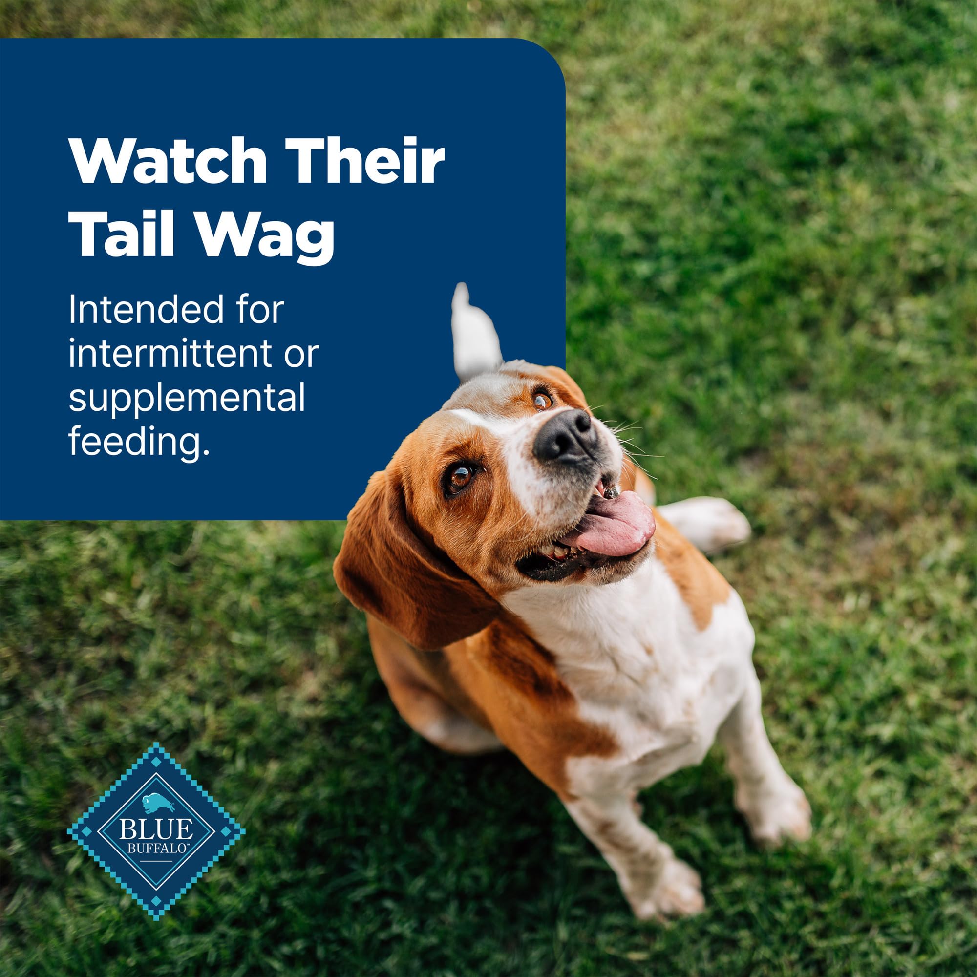 Blue Buffalo Nudges Homestyle Natural Beef and Rice Dog Treats