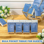 Therwen 100 Pack Pocket Tissues Travel Packs Bulk 1000 Sheet Mini Tissues Bulk 3 Ply Small Travel Size Paper Individual Pocket Size (Cool)