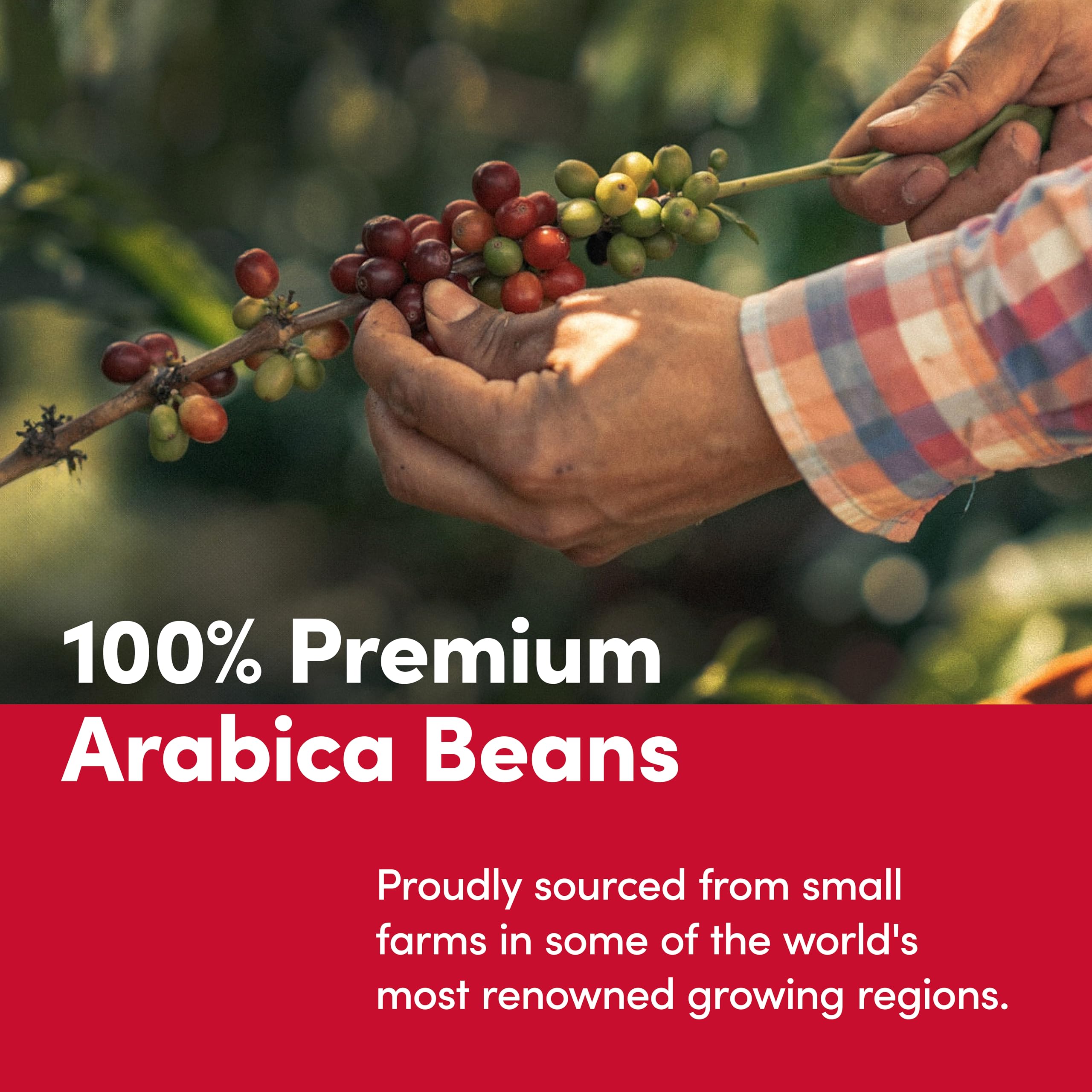 Tim Hortons Whole Bean Original, Medium Roast Coffee, Made with 100% Arabica Beans, 32 Ounce Bag