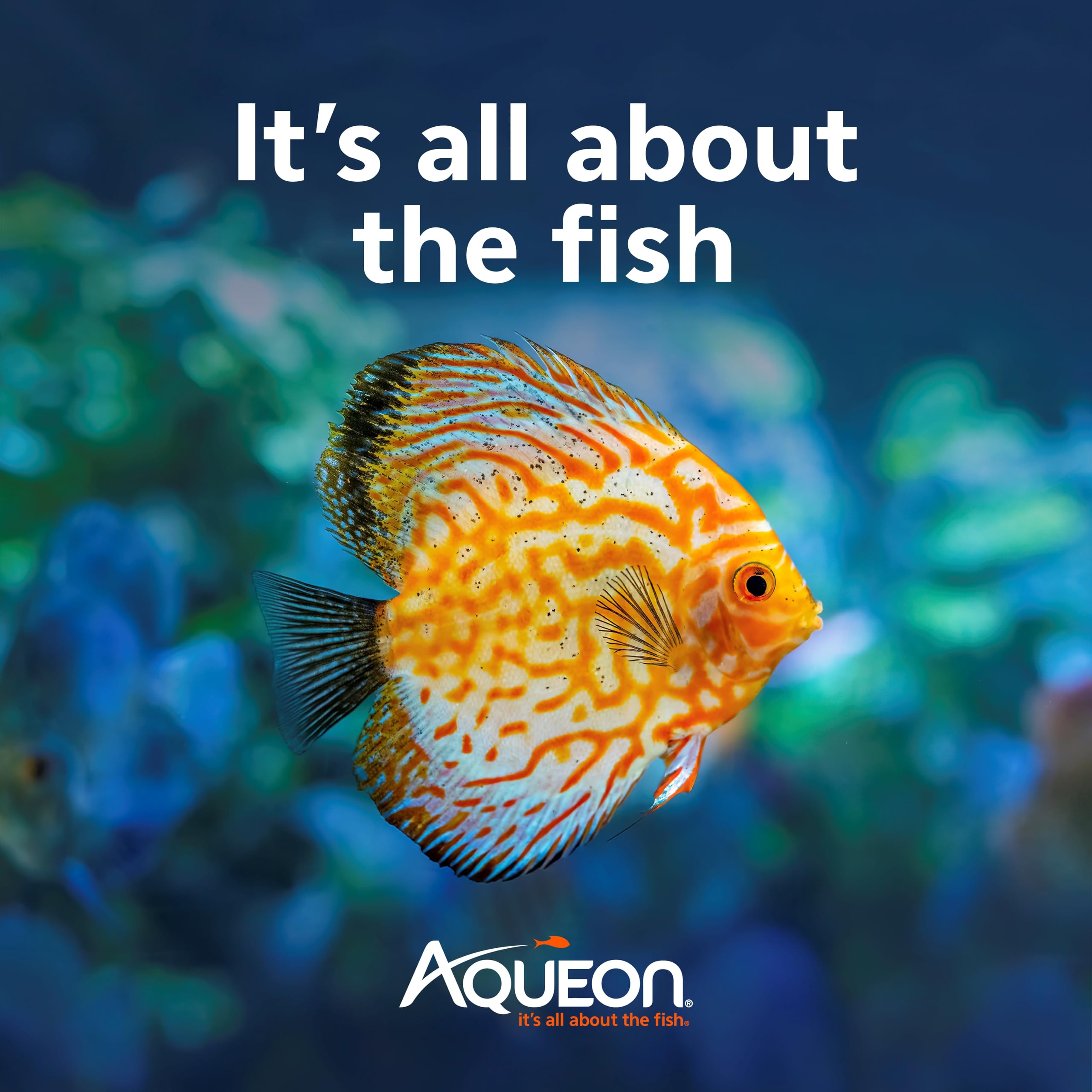 Aqueon Omnivore Shrimp Disc Food 1.65 Ounces