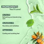 Botanic Hearth Tea Tree Body Wash -16 fl oz- All-Natural Antifungal & Odor-Control Shower Gel for Acne, Athlete’s Foot, Ringworm, Jock Itch & Healthy Skin,Sulfate & Paraben Free, for Men and Women