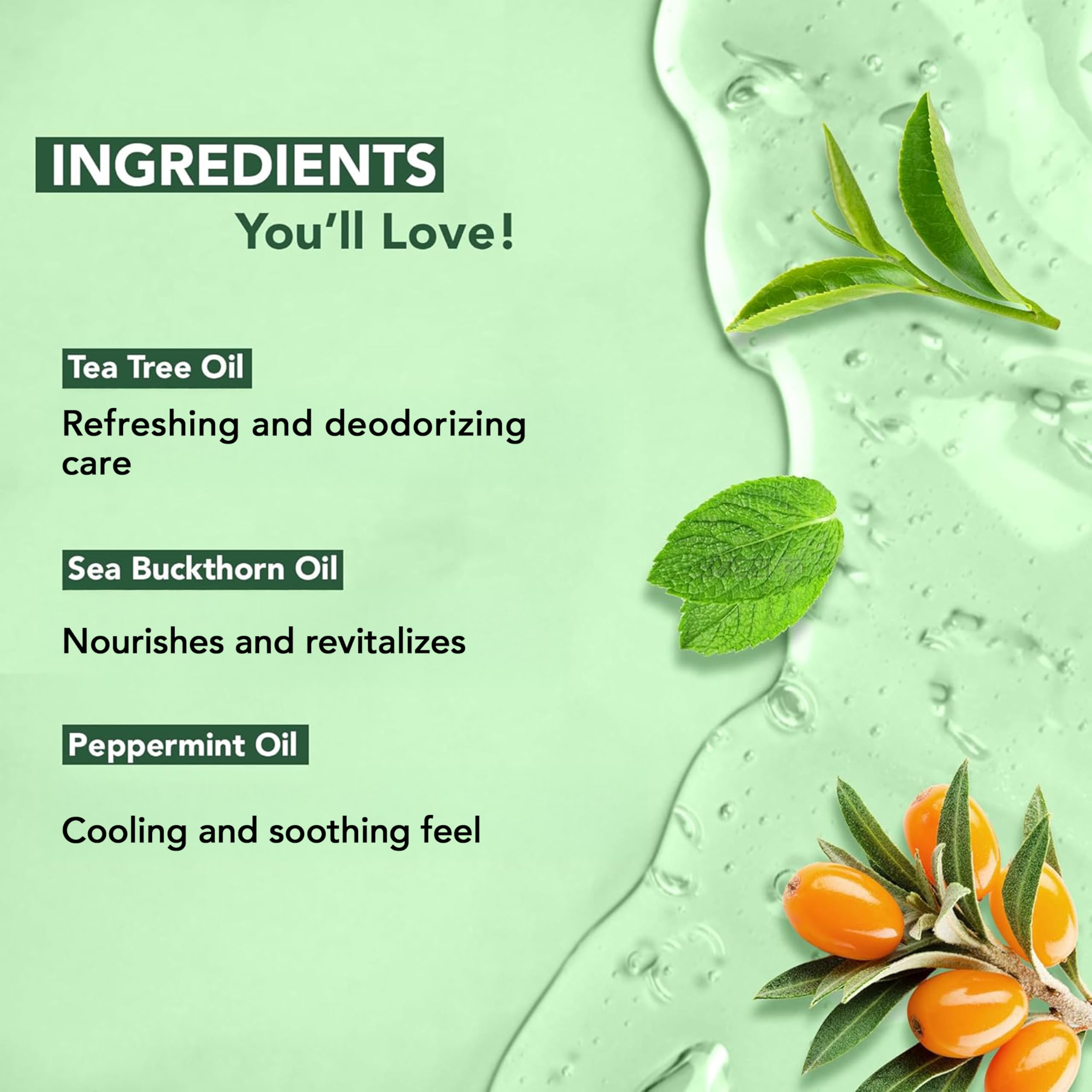 Botanic Hearth Tea Tree Body Wash -16 fl oz- All-Natural Antifungal & Odor-Control Shower Gel for Acne, Athlete’s Foot, Ringworm, Jock Itch & Healthy Skin,Sulfate & Paraben Free, for Men and Women