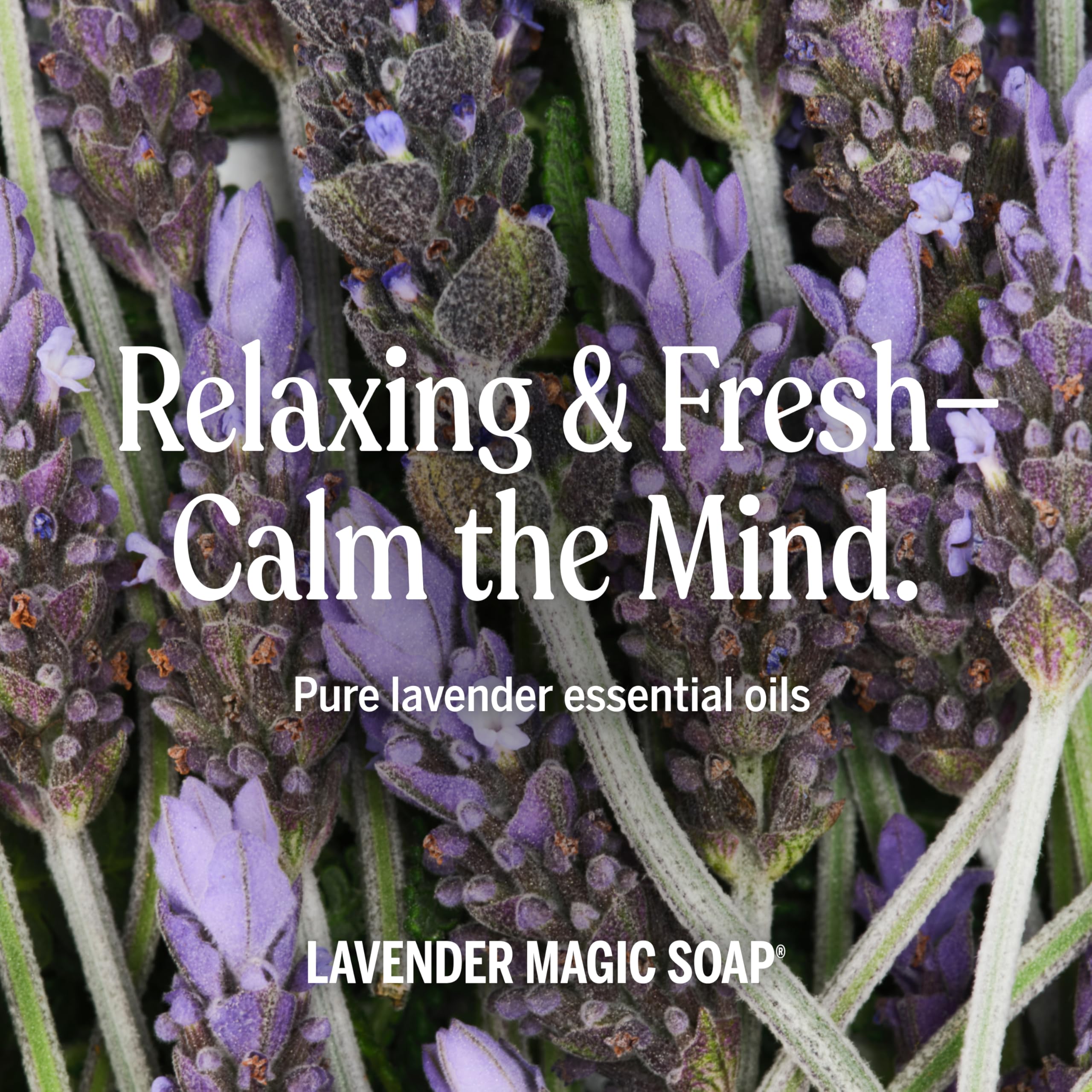 Dr. Bronner's - Pure-Castile Liquid Soap (Lavender, 32 ounce) - Made with Organic Oils, 18-in-1 Uses: Face, Body, Hair, Laundry, Pets and Dishes, Concentrated, Vegan, Non-GMO